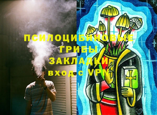 ALPHA PVP Покачи