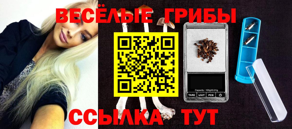 Псилоцибиновые грибы MAGIC MUSHROOMS  Амурск 