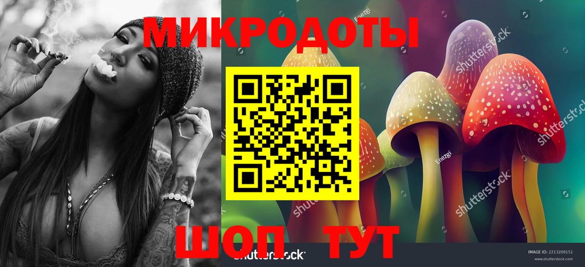 Псилоцибиновые грибы мицелий Амурск