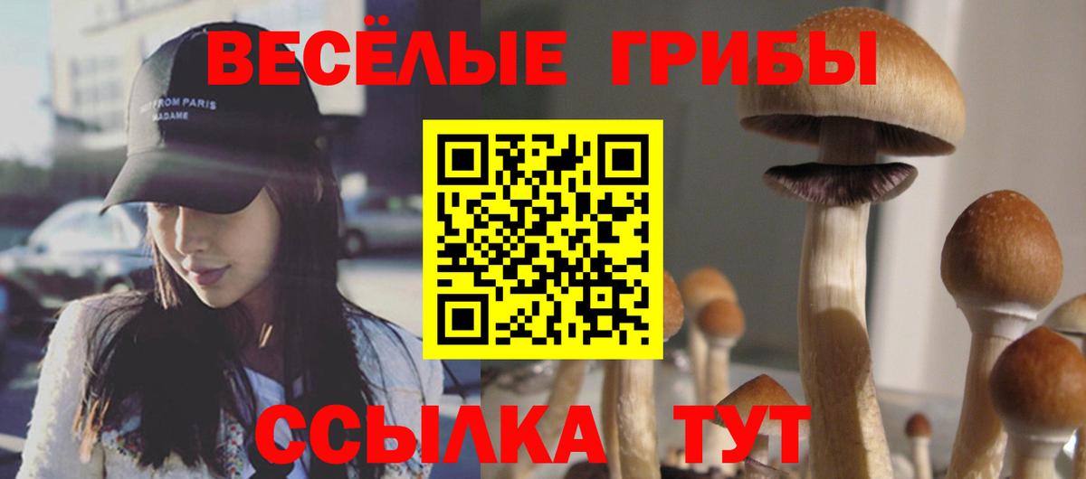 Псилоцибиновые грибы GOLDEN TEACHER  Вход с VPN  Галлюциногенные грибы ЛСД  Амурск 